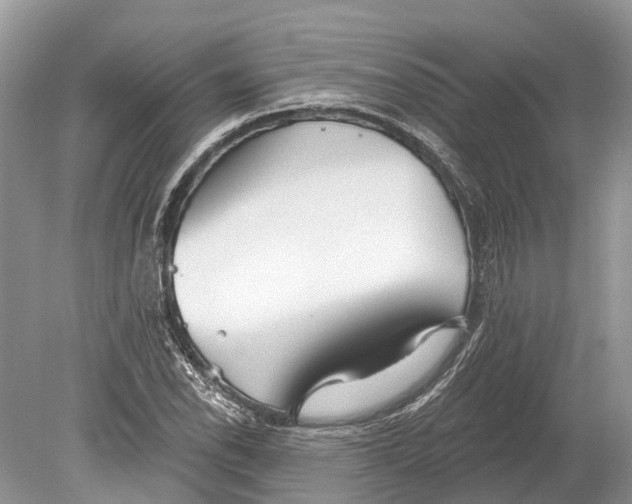 X0000078831118200612041806