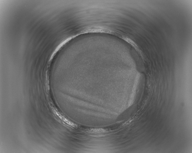 X0000078831120200612041806