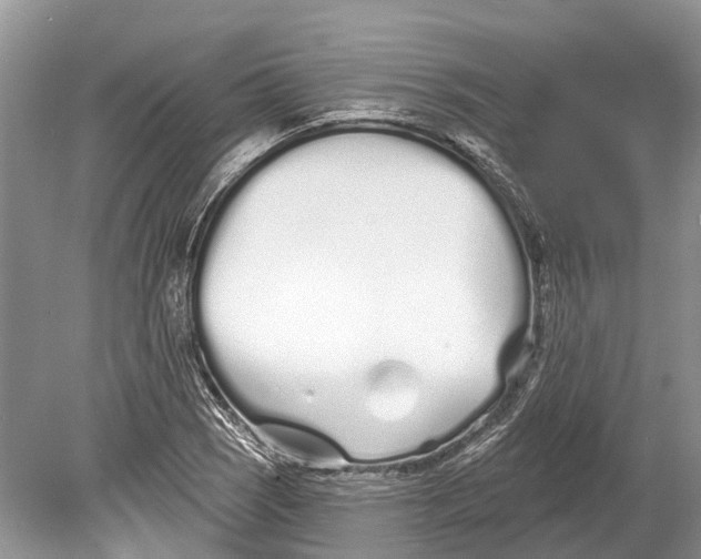 X0000078831121200612041806