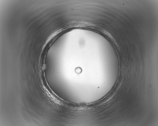 X0000078831122200612041806