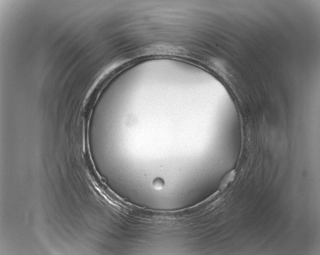 X0000078831123200612041806