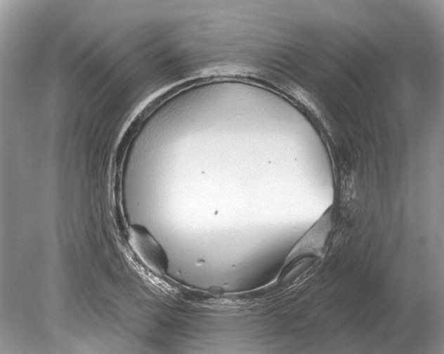 X0000078831124200612041806