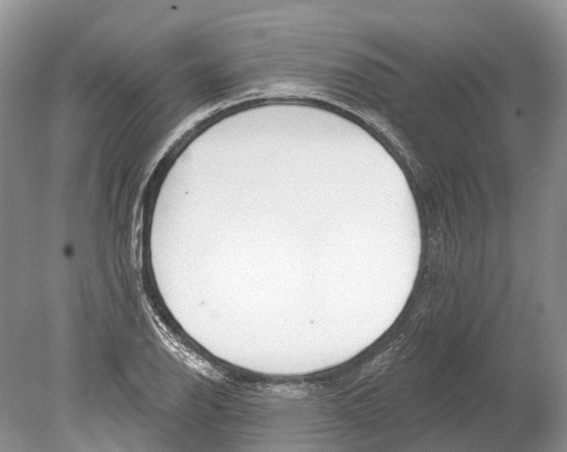 X0000078831126200612041806