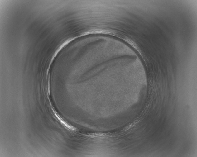 X0000078831127200612041806