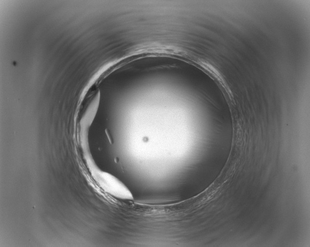 X0000078831128200612041806