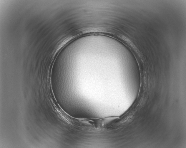 X0000078831129200612041806