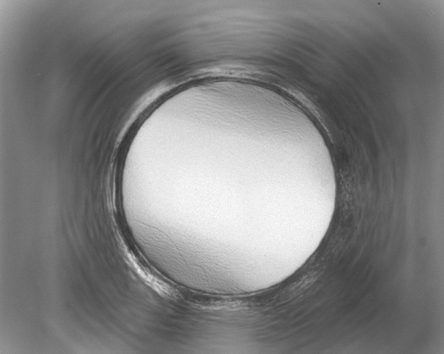 X0000078831131200612041806