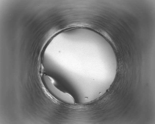 X0000078831132200612041806