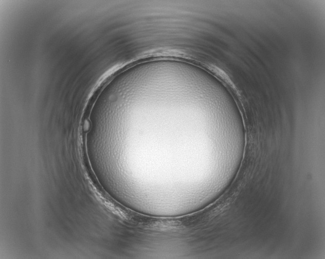 X0000078831133200612041806