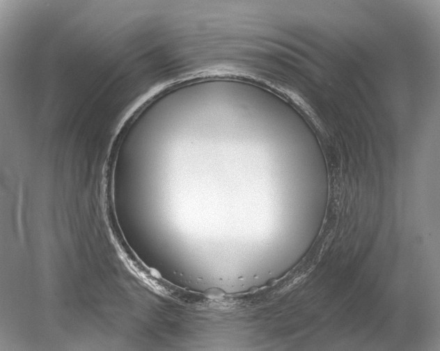 X0000078831134200612041806