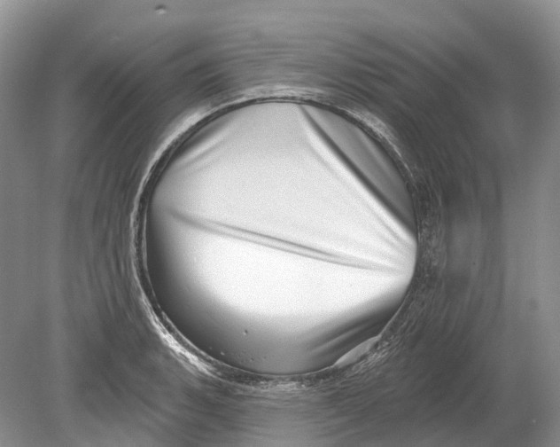 X0000078831135200612041806