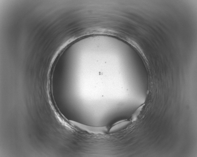 X0000078831136200612041806