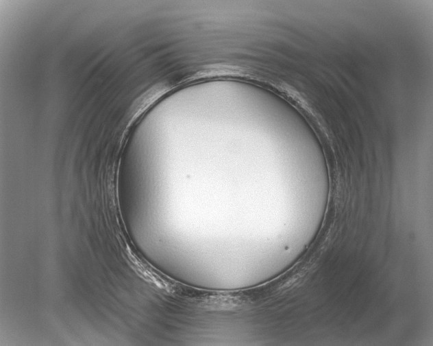 X0000078831137200612041806