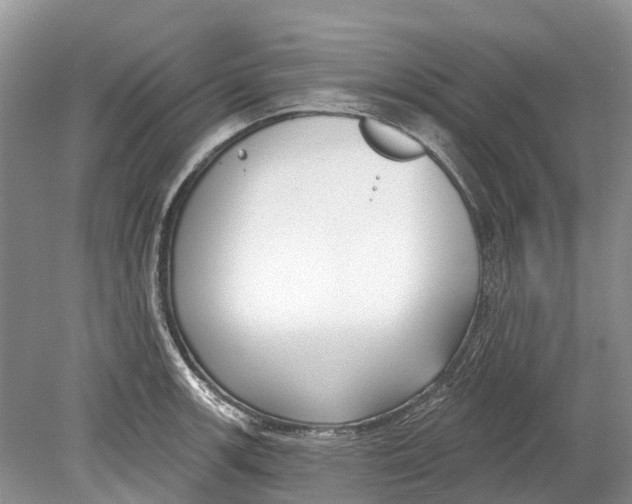 X0000078831139200612041806