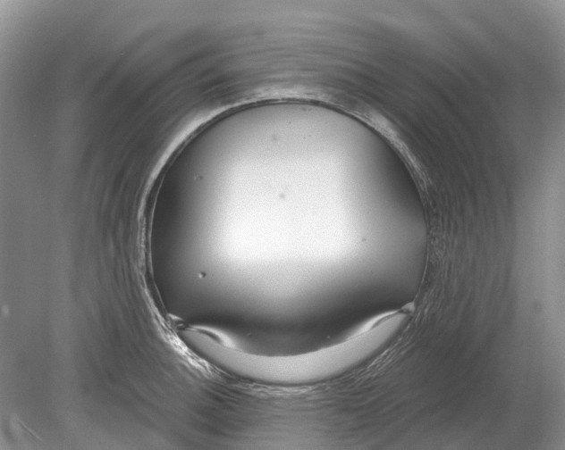 X0000078831140200612041806