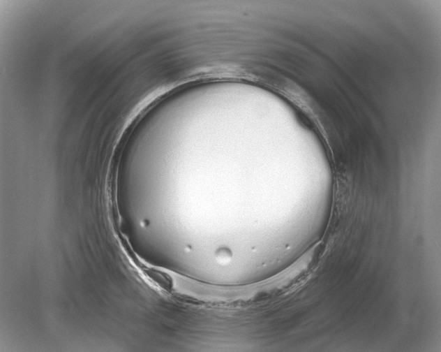 X0000078831141200612041806