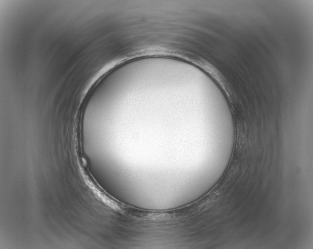 X0000078831142200612041806