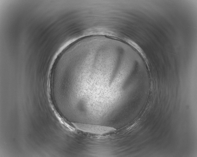 X0000078831144200612041806