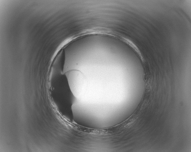 X0000078831146200612041806