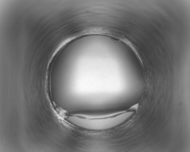 X0000078831147200612041806