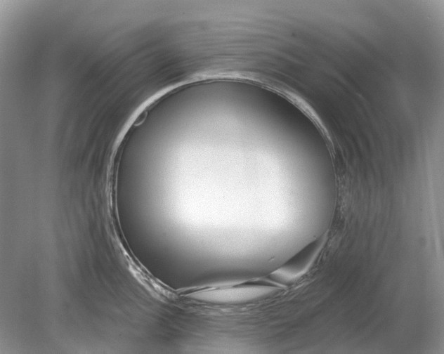 X0000078831148200612041806