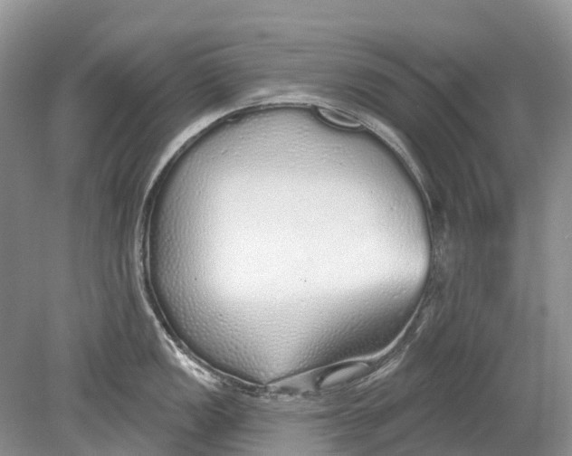 X0000078831149200612041806