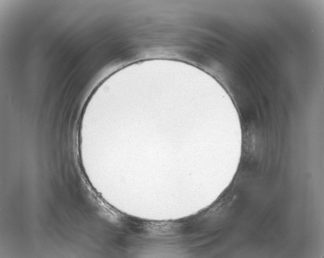 X0000078831150200612041806