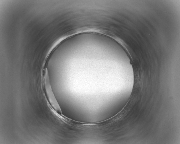 X0000078831151200612041806