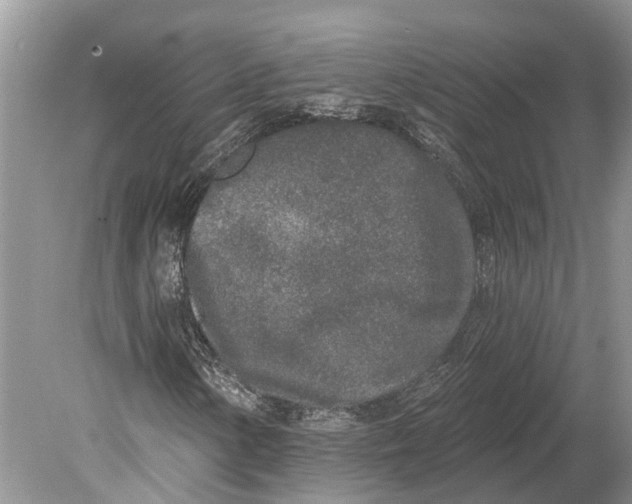 X0000078831154200612041806