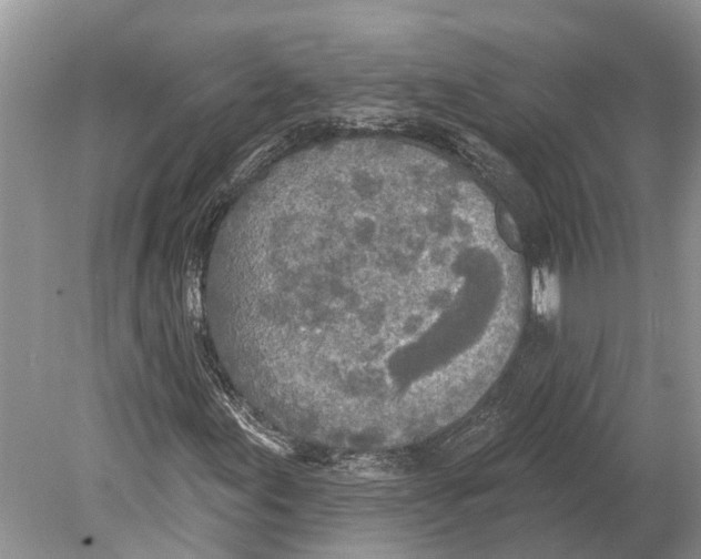 X0000078831155200612041806