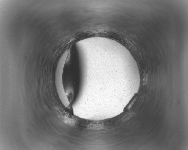 X0000078831156200612041806