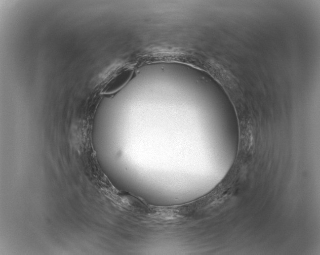 X0000078831157200612041806