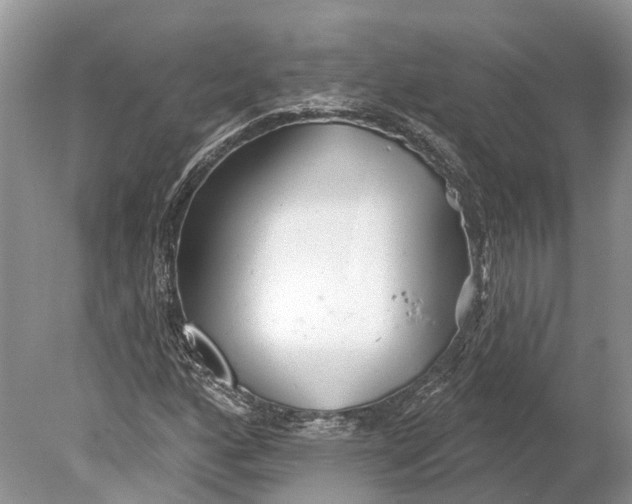 X0000078831160200612041806