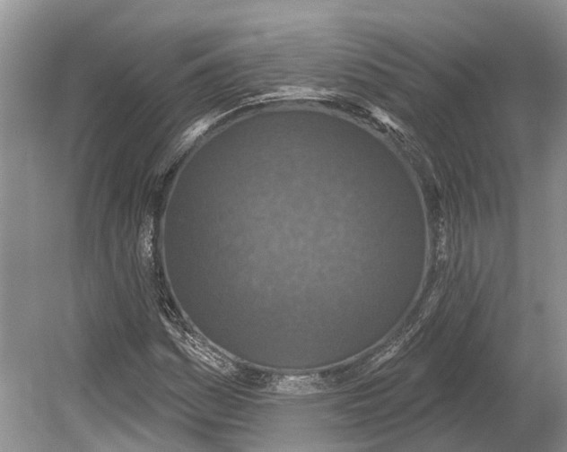 X0000078831161200612041806