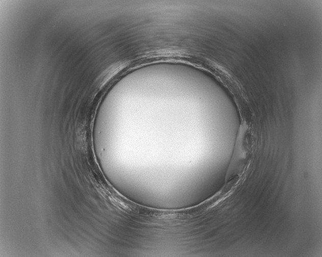 X0000078831162200612041805