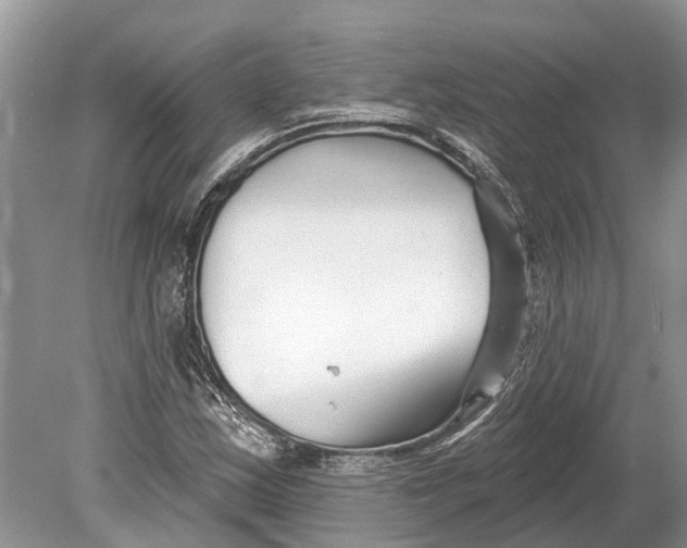 X0000078831163200612041805