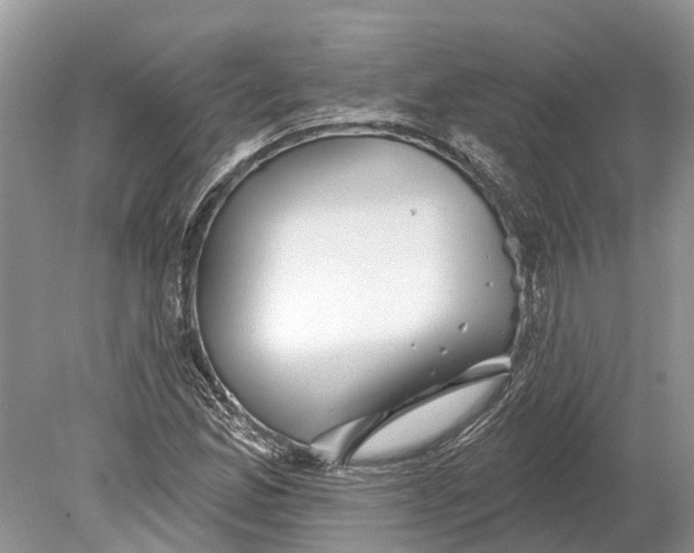 X0000078831165200612041805