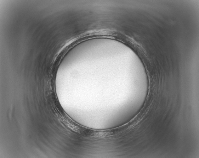 X0000078831166200612041805