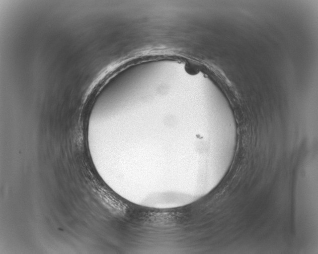 X0000078831167200612041805