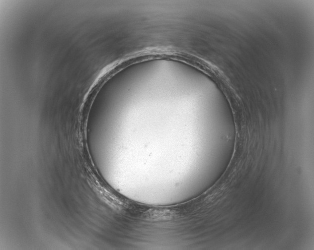 X0000078831168200612041805