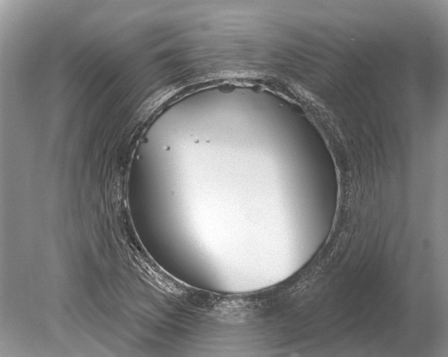 X0000078831169200612041805