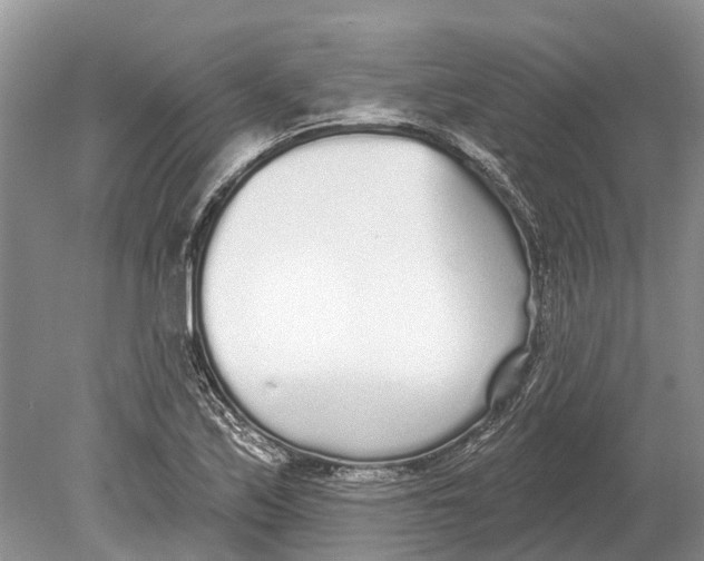 X0000078831171200612041805