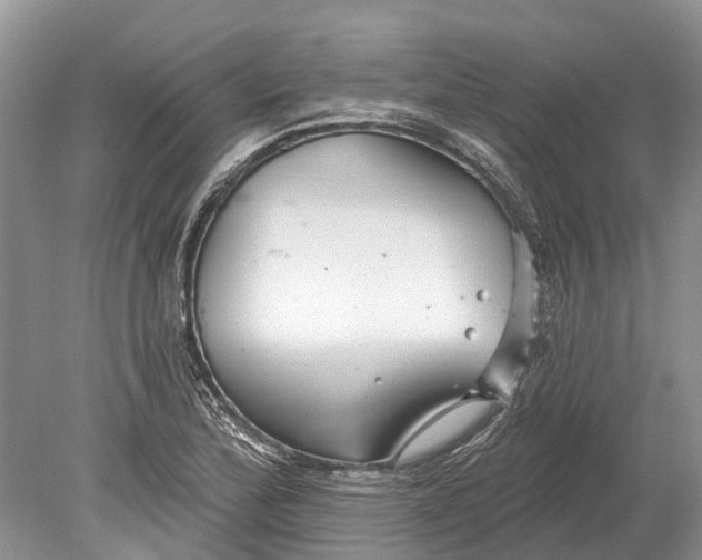 X0000078831172200612041805