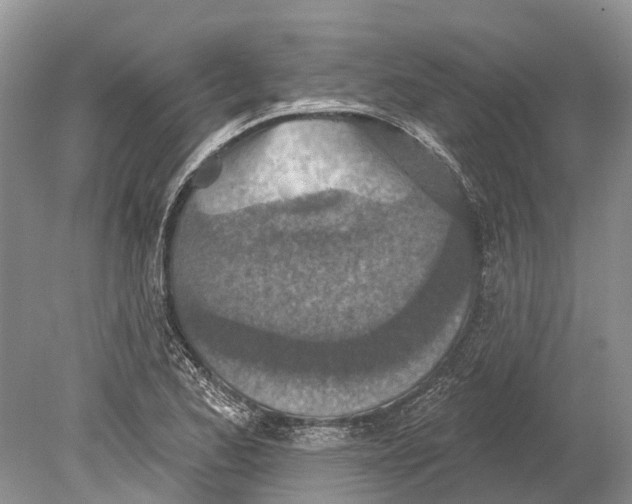 X0000078831173200612041805