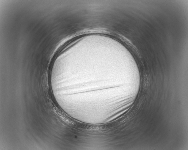 X0000078831174200612041805