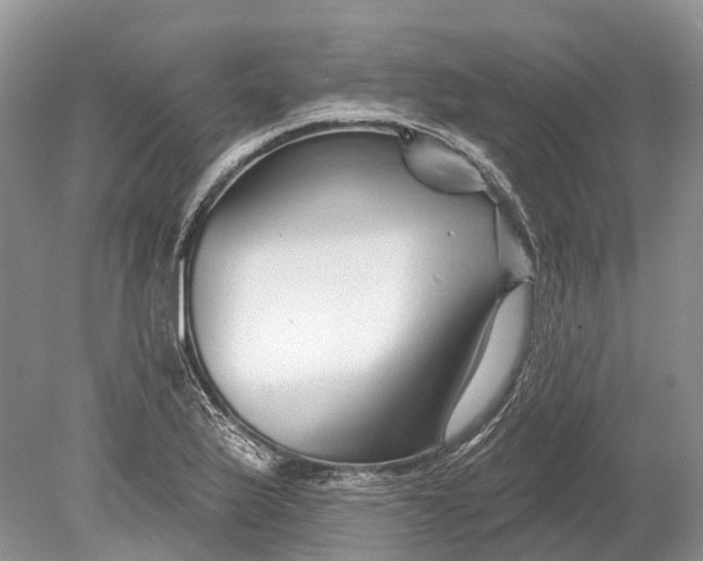 X0000078831175200612041805