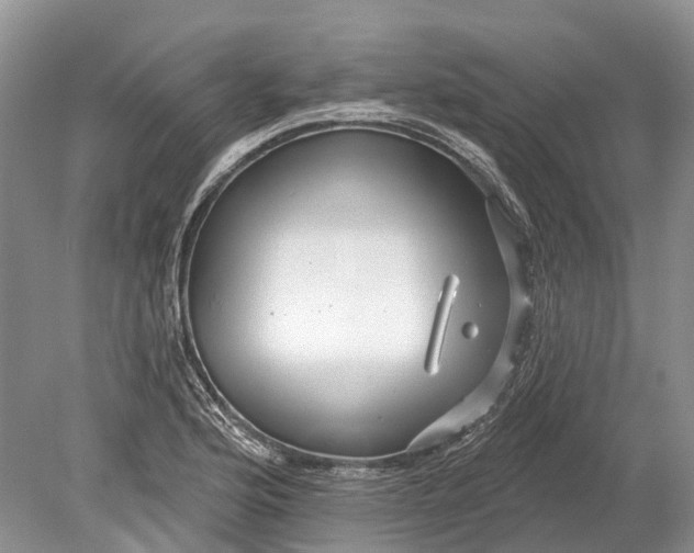 X0000078831176200612041805