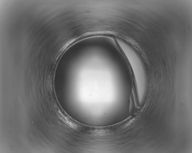 X0000078831177200612041805