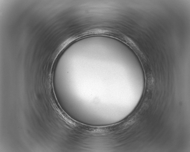 X0000078831178200612041805