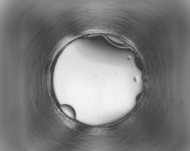 X0000078831179200612041805